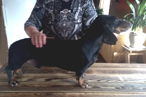 Winit's otto