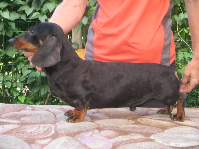 Goliath Of Riha Lakeside