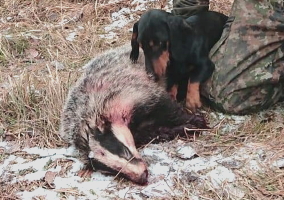 FI KVA-LUT Hauenkuonon Loordi Lally