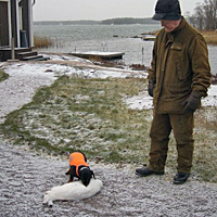 Hauenkuonon Cherry Bomb ja jänis